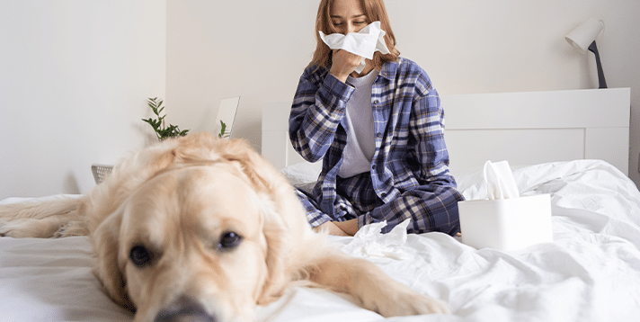 How Pets Can Impact Asthma in Humans  - Barepets