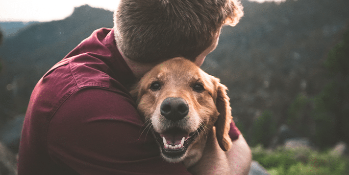 Furry Therapy: The Science of Pets and Stress Reduction - Barepets