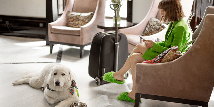 Best Pet-Friendly Hotels in Metro Manila: A Guide for Pet Owners - Barepets