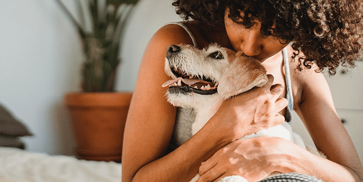 First-Time Dog Mom? Here’s What You Need to Know to Prepare for Your Dog’s Delivery - Barepets