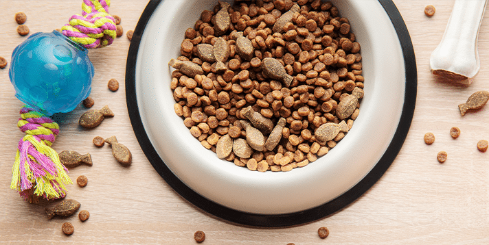 What Makes the Best Natural Dog Food in the Philippines? - Barepets