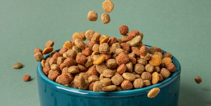 The 10 Best All-Natural Dog Foods that Don’t Use Meat Meals or By-Product Meals - Barepets