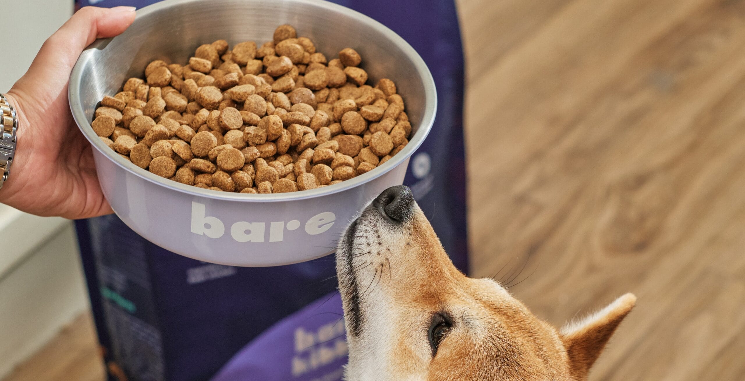 Choosing the Right Pet Food: A Comparative Analysis of Petchola vs. Bare Pets - Barepets