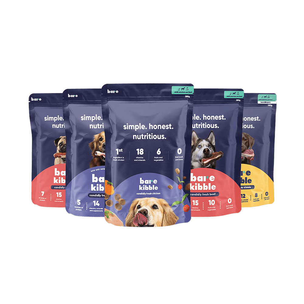 All Sample Kibble Bundle