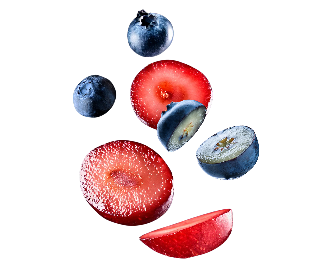 chicory & blueberries