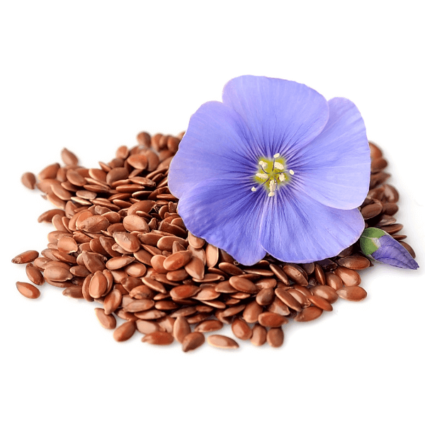 Flaxseed